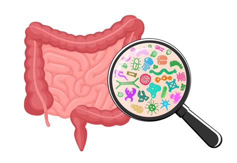 Dientamoeba! This Microscopic Mastermind Thrives Within the Intestines of Humans and Other Primates, Hiding From the World.